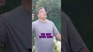 BEST Catfish Rigs for River Bank Fishing! #shorts #fishing #catfish #bankfishing