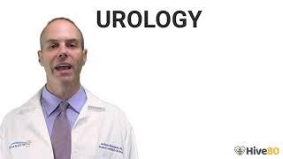 Dr. Judson Brandeis, M.D. |  Urology Explained