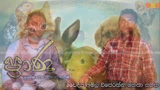 හුස්මක් හිමි ජීවින් උදෙසා | ප්‍රාණ සිව්වැනි වැඩසටහන | Mahima Radio