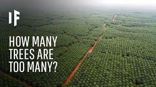 What If We Planted a Trillion Trees?