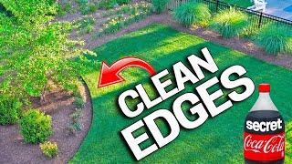 How To Have CLEAN EDGES in a LAWN - Trimmer SECRETS Revealed