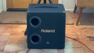 Bose S1 Pro Paired With ANOTHER subwoofer - Vintage Roland KCW-1 Incredible Full Range 103dB Sound!