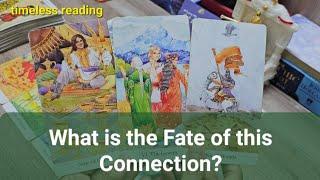 What is the Fate of this Connection? ️| Timeless Reading 