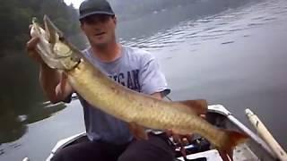 Leesville Lake Ohio Musky /  Muskie  - Mr Chomp