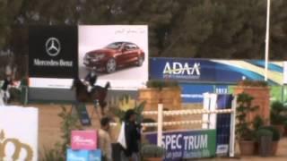 Ahmed Yehia Hafez - Levinio - GP Qualifier CSI-W** Amman (JOR)