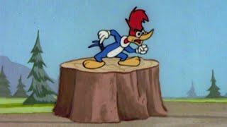 Woody's Tree Is Stolen | 2.5 Hours of Classic Episodes of Woody Woodpecker