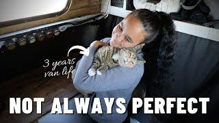 3 years of van life with my cat / How train your cat to love van life  / Van life