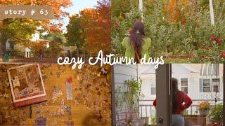 Cozy October Days | Autumn in New England | Slow Living Vlog | Apple Orchard and Vineyard Picnic