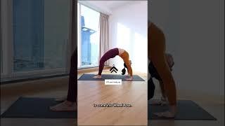 How to do Chakrasana | Wheel pose tips & common mistakes #chakrasan #dailyyoga #yogaforbeginners