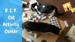 D.I.Y. Cat Activity Center | Cat Enrichment