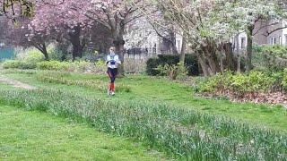 Kingston Urban Race April 2019 || Think Fast, Run Hard, Go Orienteering