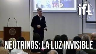 Neutrinos: la Luz Invisible - Michele Maltoni