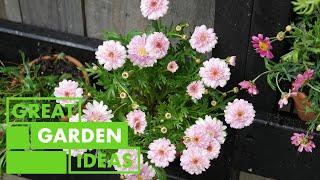 Garden Makeover Ideas on a Budget: Transform Your Outdoor Space | GARDEN | Great Home Ideas