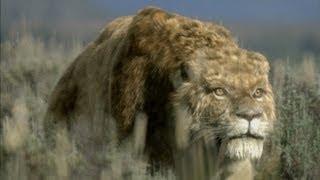 Sabre-Tooth Cat: Predator by Design - Ice Age Giants - Episode 1 Preview - BBC Two