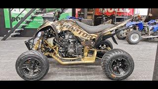 Yamaha Raptor MT/Fz-09 ⭐ Gold Edition by ASG ⭐