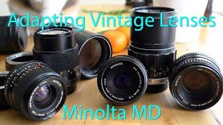 Minolta MD - Adapting Vintage Lenses