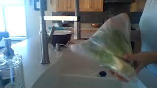 Produce Cleaning & Storage