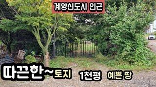 17번))매매완료!감사합니다!계양신도시 인근 1천평 토지 모양 이쁘다!!!  매가15억