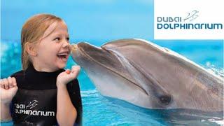 Discovering Delightful Dolphins: Fun-Filled  Experiences at Dubai Dolphinarium for Kids of All Ages!