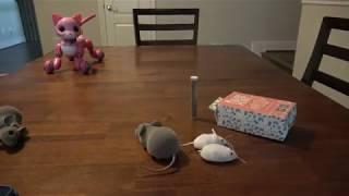 Weekly Review - Robotic Mice from Outer Space!