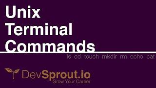 Basic Unix Terminal Commands