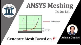 Generate Mesh Based on Y-plus in ANSYS Meshing, Structured and Unstructured Grid with Y+ Calculator