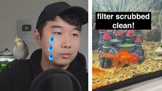 5/5 FISH TANK MAKEOVER | Fish Tank Review 189