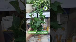 Новинки в магазине Фикс Прайс в Минске (ул. Дунина-Марцинкевича, 11) #фикспрайс #обзор #новинки