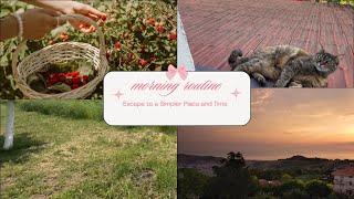A Tranquil Morning in  The Bulgarian  countryside  - A  Silent Vlog 