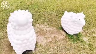 超療癒！「60隻羊咩咩」佔領新北大都會公園