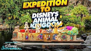 Expedition to Disney's Animal Kingdom | Destinations Discovery