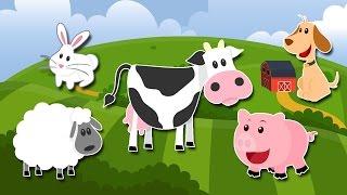 Desene Animate Educative - La Ferma - ANIMALELE DOMESTICE - Animatii TV