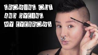 Growing out and dyeing my eyebrows