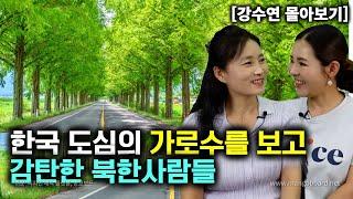 [강수연_몰아보기] 한국 도심의 가로수를 보고 감탄한 북한사람들