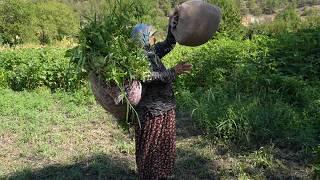 Challenging Agriculture in Rural Life - Documentary