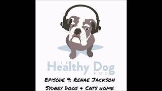 Episode 9: Renae Jackson of Sydney Dogs & Cats Home