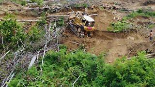 How This Bulldozer Turns Overgrown Land into Profitable Farmland!