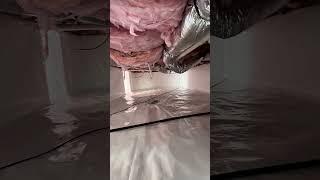 Why You Should Encapsulate Your Crawl Space!