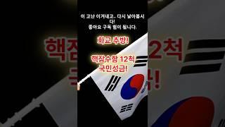 탄핵반대! 화교추방! 핵잠수함 12척 국민성금!