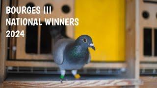 39,695 pigeons Competing for the National Race Bourges III 2024 Podium