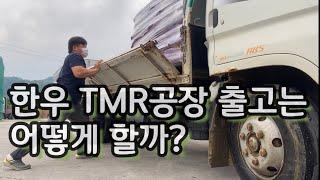 (웅부장) 한우 공장TMR 출고해서 급여하기 ep.4