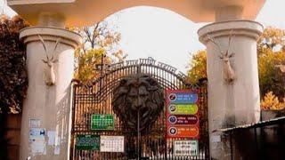 Lucknow Chidiyaghar#asmrvideo  Lucknow#youtubeshorts #youtube  zoo#hamzakhanvlog# island Joy music