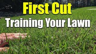 Spring First Cut Reel Mowing Bermuda - Training the Grass