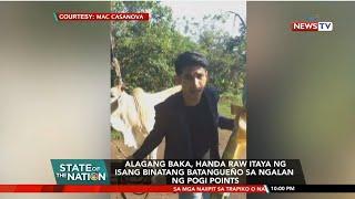 Alagang baka, handa raw itaya ng isang binatang Batangueño sa ngalan ng pogi points | SONA