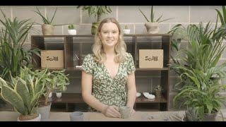 Sculpd Pinch Pot Tutorial