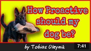 How Proactive should my dog be? - by Tobias Oleynik