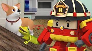 Pet Safety Series│Best Fire Safety Series│Cartoons for Kids│Robocar POLI TV