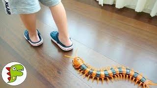 レオくんのアンパンマン人形がきえた！ムシさんがまほうでかくしちゃった！ トイキッズ