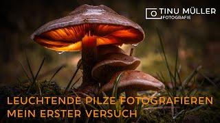 Leuchtende Pilze fotografieren - mein erster Versuch! (Kommentar in Schweizer Mundart!)