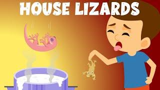 What if a lizard falls in your food? | Lizard is Poisonous? | House Lizards or House Geckos